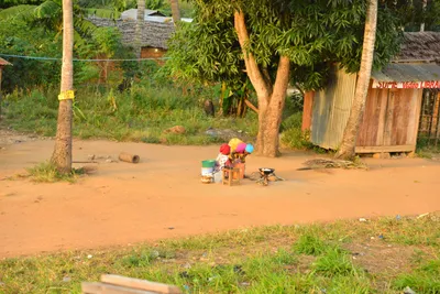 DSC_4307 (Large).JPG